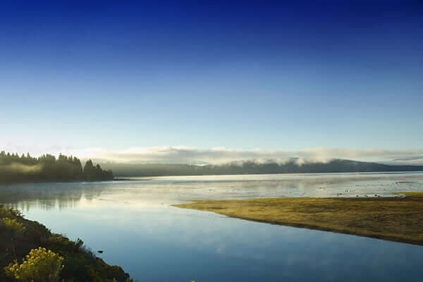 Rocky Point Campground, Lake Almanor