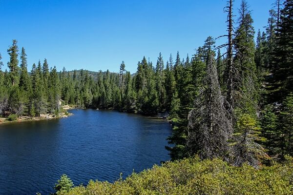 Gerle Creek Campground