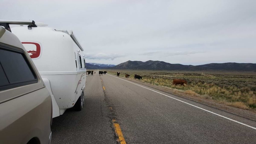 From Ruby Lake to Cathedral Gorge