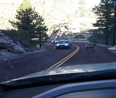 hundred mile drive to Elko