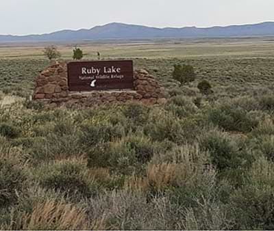 Ruby Valley contains the Ruby Lake National Wildlife Refuge