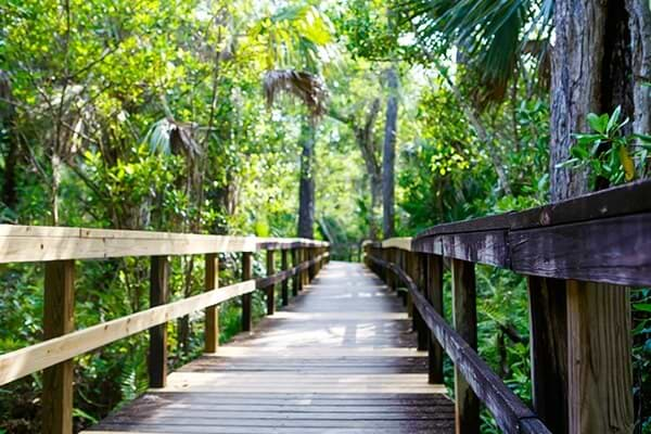 Blue Spring State Park