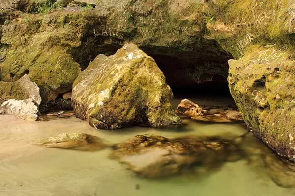 Florida Caverns State Park