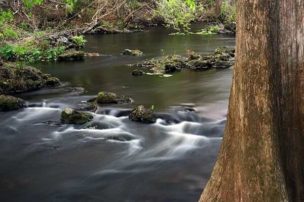 Hillsborough River State Park