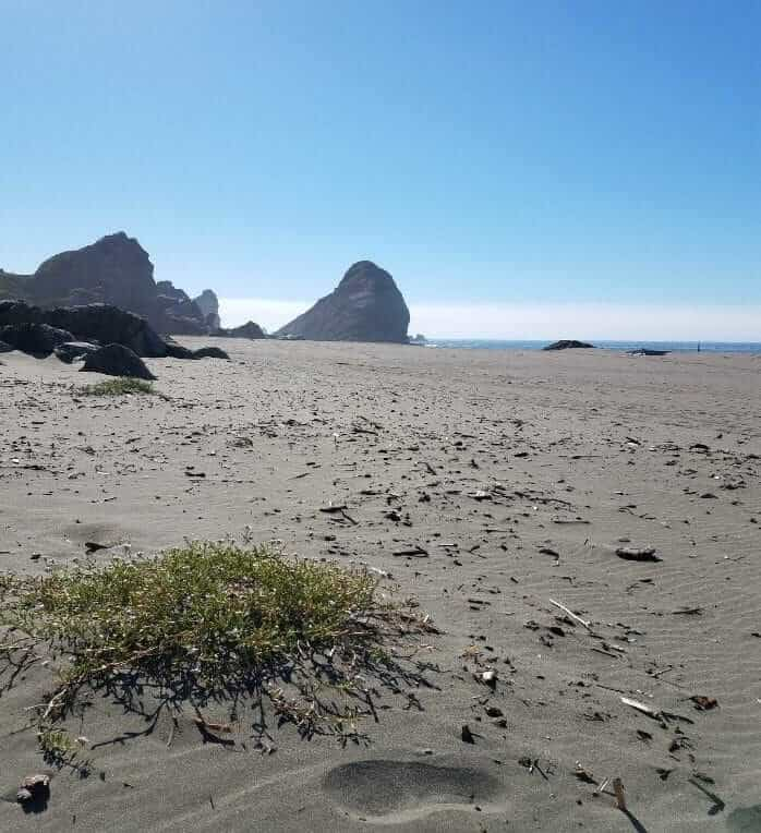 Harris Beach Road just north of Brookings