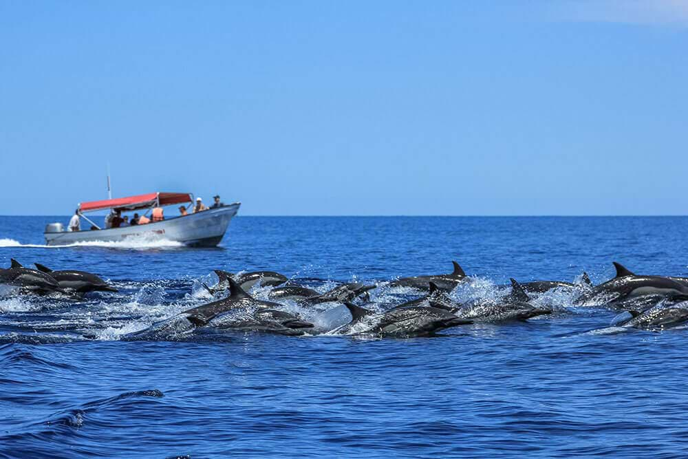 Florida Gulf Of Mexico