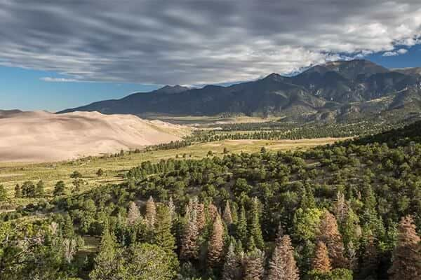 Piñon Flats with storm rolling clouds