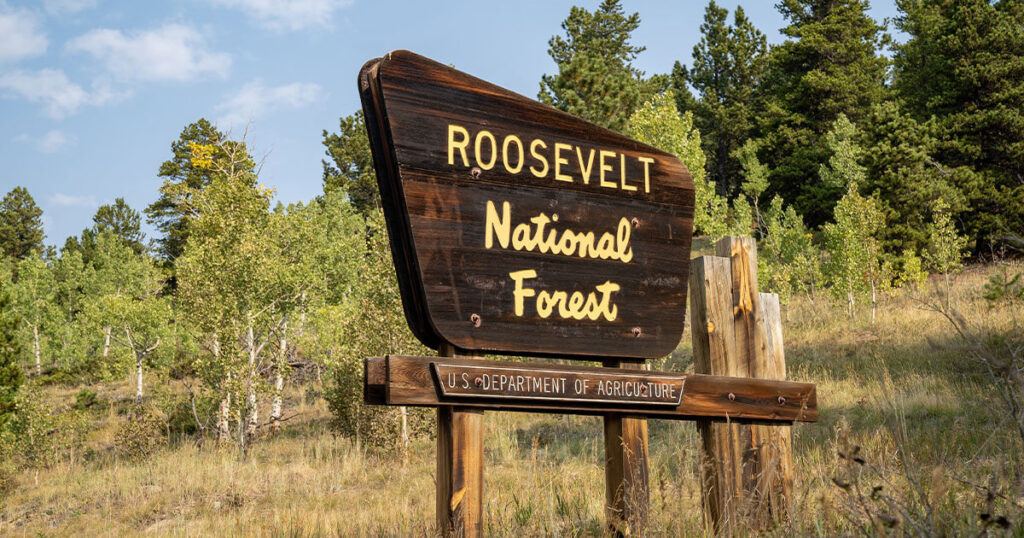 Roosevelt National Forest campground with Cache la Poudre River and mountains in the background.