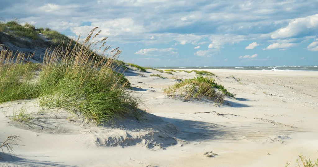 The image showcases a tranquil scene of a sandy beach bordered by lush greenery. The sparkling blue waters of the Atlantic Ocean stretch out towards the horizon, while a row of palm trees creates a picturesque backdrop.