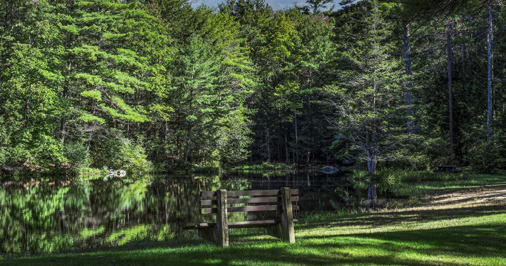 Vibrant snapshot of Otter River State Forest, outdoor activities like hiking, fishing, and picnicking amidst the towering trees fostering a family-friendly adventure
