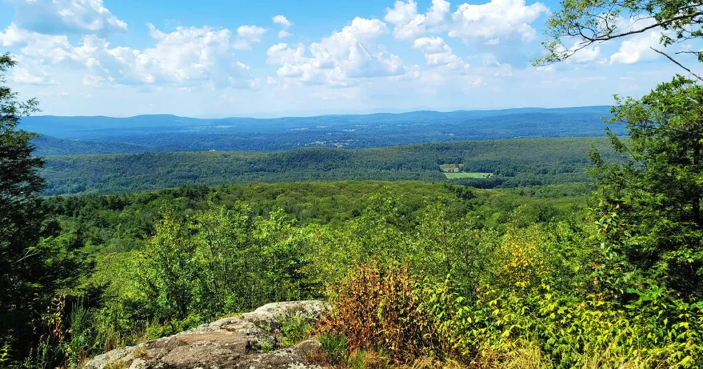 Breathtaking view from Bearstown State Forest lookout point, revealing a sweeping landscape of rolling hills, dense trees, and a winding river carving its way through the picturesque wilderness.