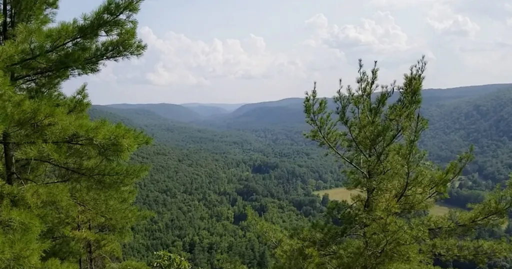 Mohawk Trail State Forest reveals a dense forest with vibrant foliage, winding trails through the picturesque landscape