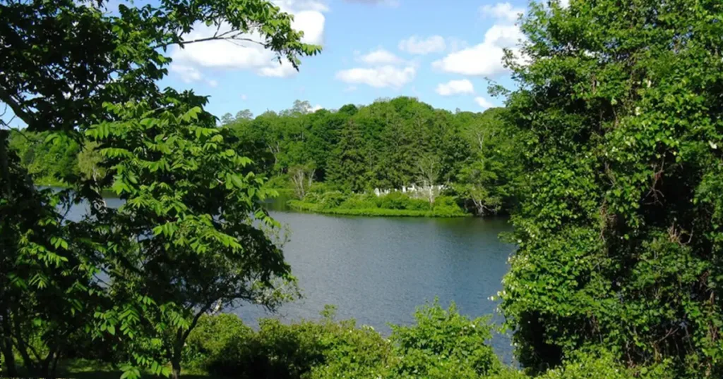 Tranquil scene at Shawme-Crowell State Forest, showcasing a tranquil pond surrounded by vibrant foliage and peaceful walking trails, inviting visitors to immerse themselves in nature's beauty.