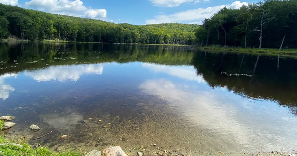 October Mountain State Forest, depicting a dense forest adorned with peaceful lake, inviting visitors to immerse themselves in the tranquility of nature.