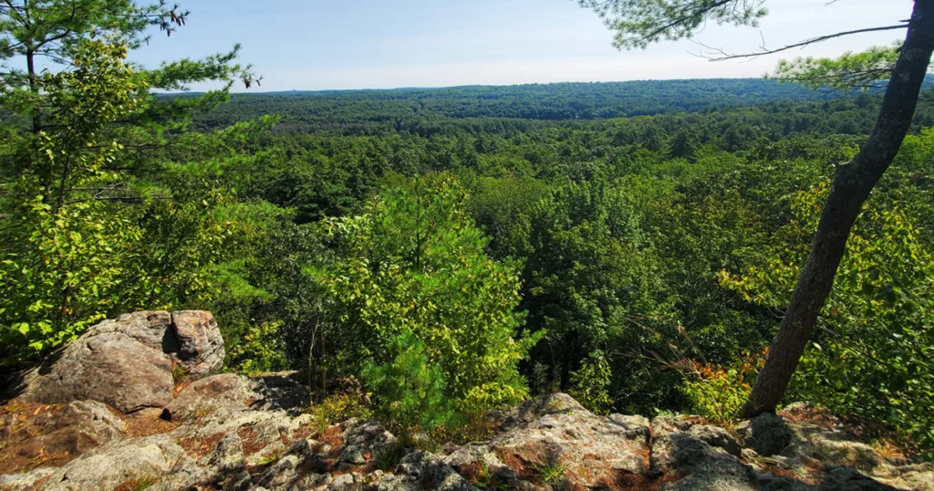 A serene scene at Wells State Park, showcasing a tranquil lake surrounded by lush greenery and a peaceful hiking trail.