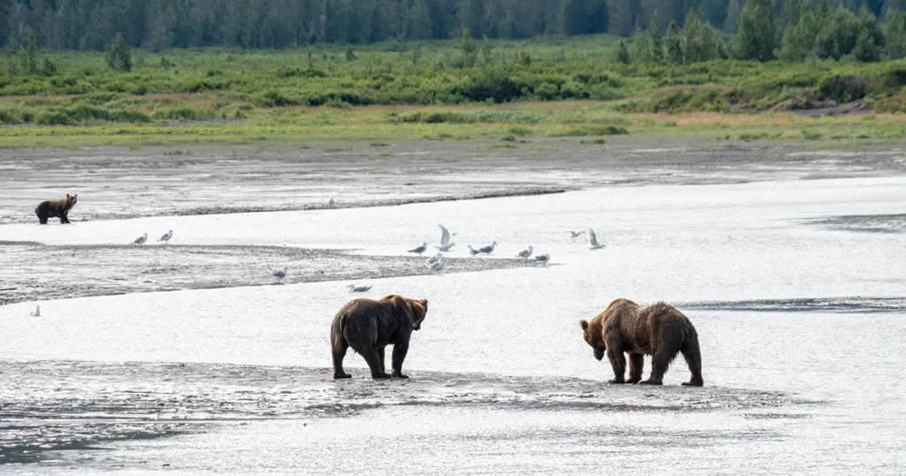 Kodiak National Wildlife Refuge