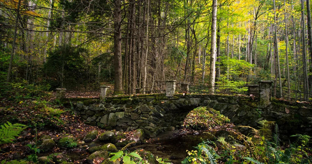 elkmont trails national park campground