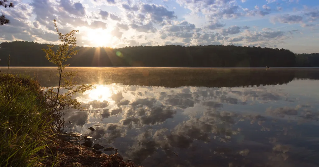 natchez trace pin oak lake