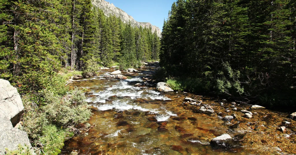 gallatin national forest battlecreek