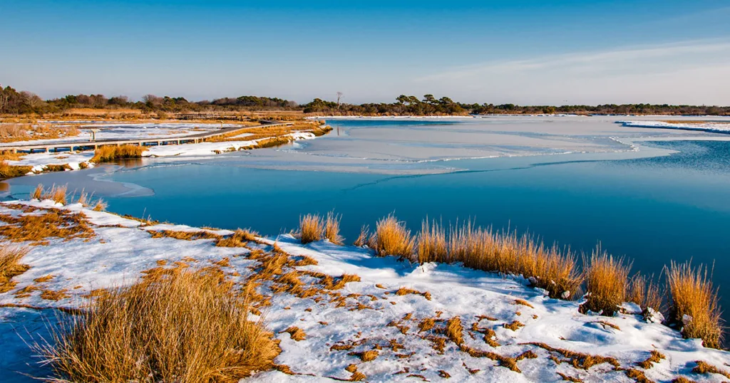 The sandy beach is transformed by a layer of glistening white snow, creating a serene and tranquil atmosphere. The iconic wild horses of Assateague can be seen standing amidst the snowy landscape, their dark coats contrasting against the pure white backdrop.