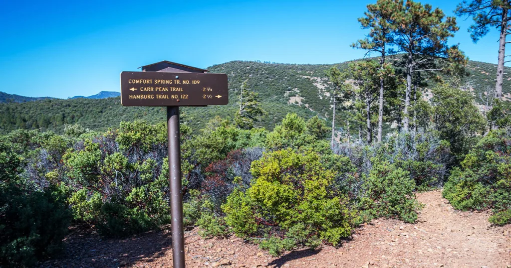 Coronado National Forest - panoramic view of the diverse landscape featuring rugged mountains, lush forests, and cascading waterfalls, offering a haven for outdoor enthusiasts and wildlife enthusiasts alike in this enchanting natural sanctuary in Arizona.