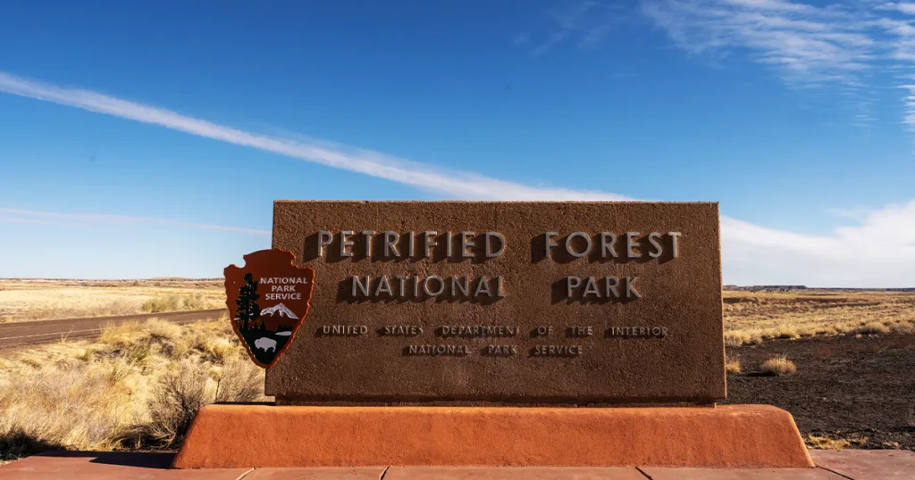 Petrified Forest National Park - ancient petrified logs scattered across a barren landscape under a clear blue sky, showcasing the unique geological features and rich fossil deposits of this protected area in northeastern Arizona.