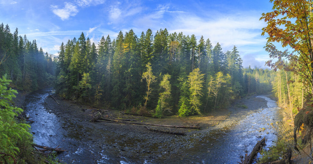 Olympic National Park is a United States national park located in the state of Washington