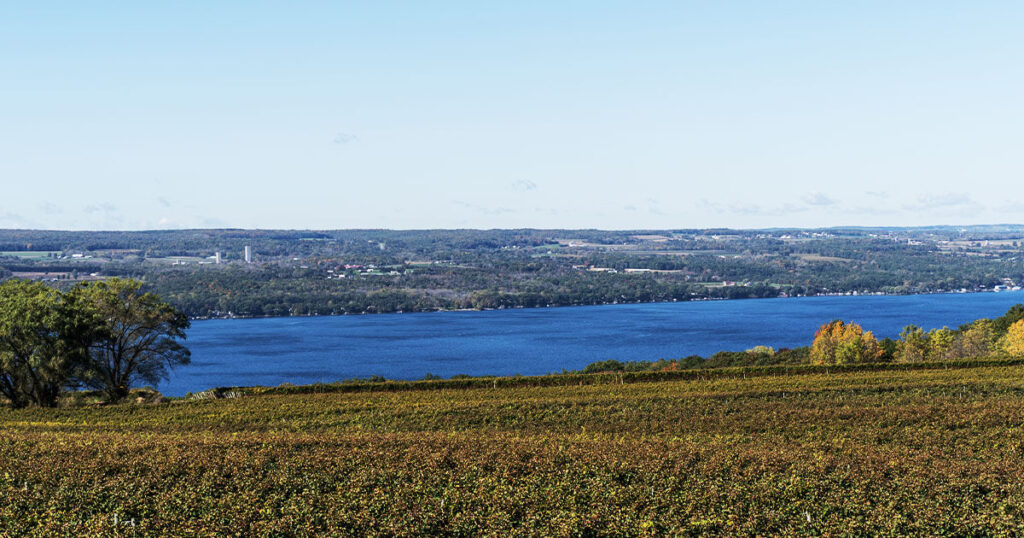 Finger Lakes Region, New York: A serene lake surrounded by rolling hills and vineyards, with a quaint winery overlooking the water.