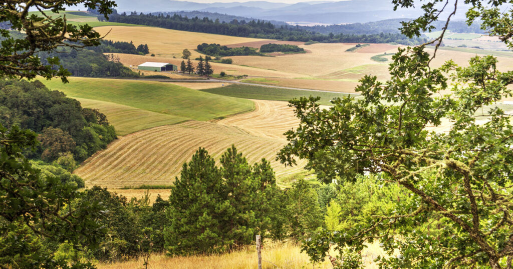 Willamette Valley, Oregon: A picturesque valley with rows of grapevines leading to a historic winery, framed by towering mountains.